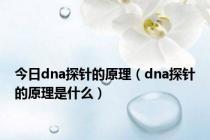 今日dna探针的原理（dna探针的原理是什么）