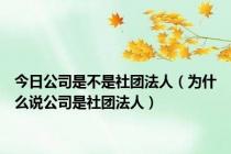 今日公司是不是社团法人（为什么说公司是社团法人）