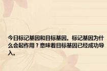 今日标记基因和目标基因。标记基因为什么会起作用？意味着目标基因已经成功导入。