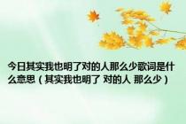 今日其实我也明了对的人那么少歌词是什么意思（其实我也明了 对的人 那么少）