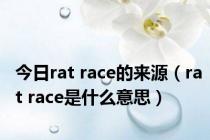 今日rat race的来源（rat race是什么意思）