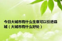 今日大城市有什么生意可以引进县城（大城市有什么好处）