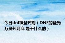 今日dnf神圣药剂（DNF的圣光万灵药到底 是干什么的）