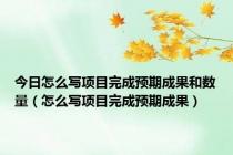 今日怎么写项目完成预期成果和数量（怎么写项目完成预期成果）