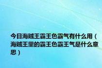 今日海贼王霸王色霸气有什么用（海贼王里的霸王色霸王气是什么意思）