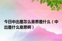 今日中出是怎么意思是什么（中出是什么意思啊）