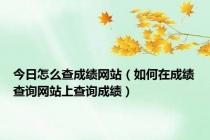 今日怎么查成绩网站（如何在成绩查询网站上查询成绩）