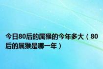 今日80后的属猴的今年多大（80后的属猴是哪一年）