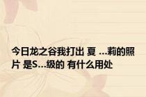 今日龙之谷我打出 夏 …莉的照片 是S…级的 有什么用处