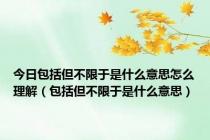 今日包括但不限于是什么意思怎么理解（包括但不限于是什么意思）