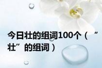 今日壮的组词100个（“壮”的组词）