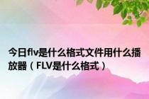 今日flv是什么格式文件用什么播放器（FLV是什么格式）