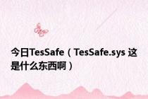 今日TesSafe（TesSafe.sys 这是什么东西啊）