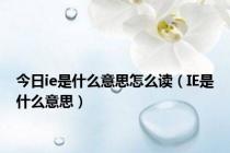 今日ie是什么意思怎么读（IE是什么意思）