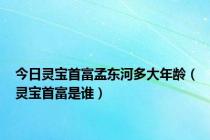 今日灵宝首富孟东河多大年龄（灵宝首富是谁）