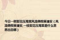 今日一树梨花压海棠风流倜傥赛潘安（风流倜傥赛潘安,一枝梨花压海棠是什么意思出自哪）