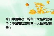 今日中国电动三轮车十大品牌就这个（中国电动三轮车十大品牌是那些）