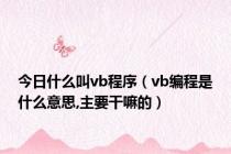 今日什么叫vb程序（vb编程是什么意思,主要干嘛的）