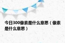 今日300像素是什么意思（像素是什么意思）