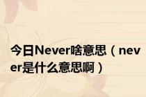 今日Never啥意思（never是什么意思啊）