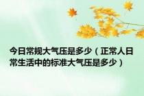 今日常规大气压是多少（正常人日常生活中的标准大气压是多少）