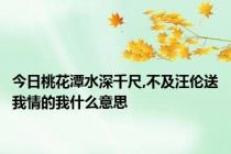 今日桃花潭水深千尺,不及汪伦送我情的我什么意思