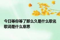 今日等你等了那么久是什么歌名歌词是什么意思