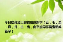 今日给肖加上部首组成新字（云，毛，至，肖，并，古，出，由字加同样偏旁组成新字）