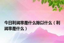 今日利润率是什么除以什么（利润率是什么）