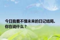 今日我看不懂未来的日记结局。你在说什么？