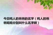 今日鸣人的爸爸的名字（鸣人的爸爸妈妈分别叫什么名字啊）