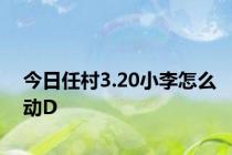 今日任村3.20小李怎么动D