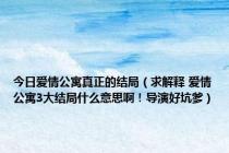 今日爱情公寓真正的结局（求解释 爱情公寓3大结局什么意思啊！导演好坑爹）