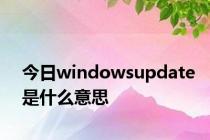 今日windowsupdate是什么意思