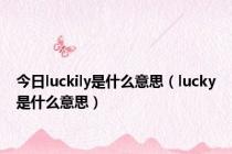 今日luckily是什么意思（lucky是什么意思）