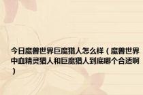 今日魔兽世界巨魔猎人怎么样（魔兽世界中血精灵猎人和巨魔猎人到底哪个合适啊）