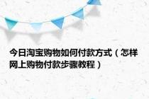 今日淘宝购物如何付款方式（怎样网上购物付款步骤教程）