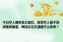 今日世人嘲笑我太疯狂。我笑世人看不到武陵英雄墓。锄田无花无酒是什么意思？