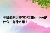 今日请问大神GDR2和ambre是什么，有什么用？