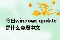 今日windows update是什么意思中文