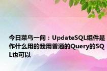 今日菜鸟一问：UpdateSQL组件是作什么用的我用普通的Query的SQL也可以