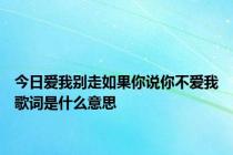 今日爱我别走如果你说你不爱我歌词是什么意思