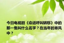 今日电视剧《命运呼叫转移》中的那一集叫什么名字？在当年的寒风中？