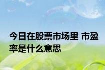 今日在股票市场里 市盈率是什么意思