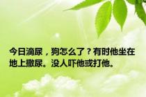 今日滴尿，狗怎么了？有时他坐在地上撒尿。没人吓他或打他。