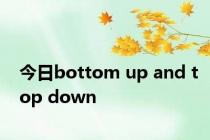 今日bottom up and top down