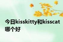 今日kisskitty和kisscat哪个好