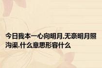 今日我本一心向明月,无奈明月照沟渠.什么意思形容什么