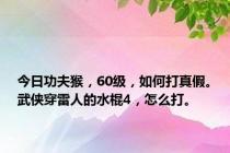 今日功夫猴，60级，如何打真假。武侠穿雷人的水棍4，怎么打。