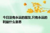 今日没有永远的朋友,只有永远的利益什么意思